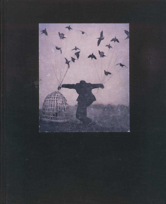 The architect's brother / Robert ParkeHarrison cover