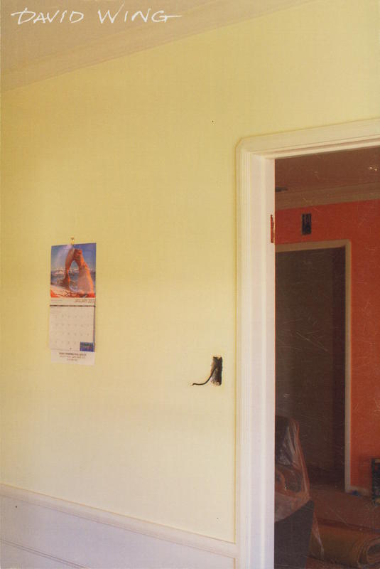 Mixed documents : photographs and commentary, 1970-2021 : blog handbook No. 3 / David Wing cover