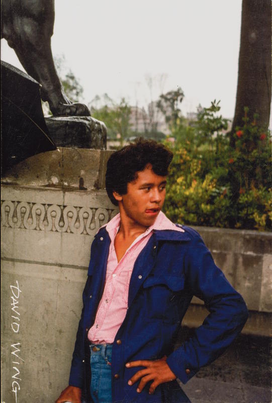 Mixed documents : photographs and commentary, 1970-2022 : blog handbook No. 4 / David Wing cover