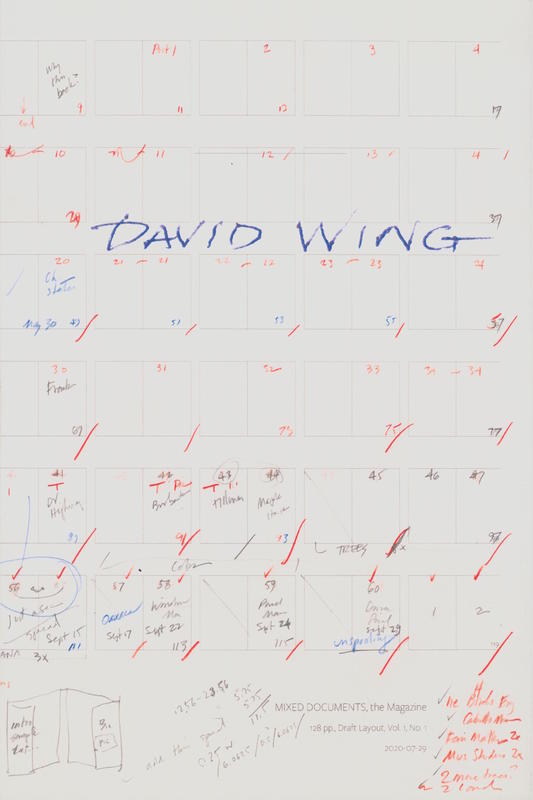 Mixed documents : photographs and commentary, 1970-2020 : blog handbook No. 1 / David Wing cover