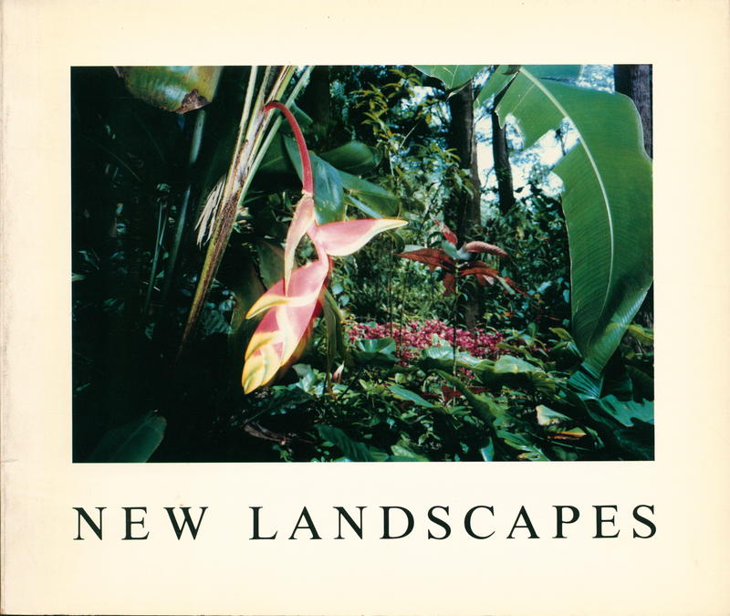 New Landscapes cover