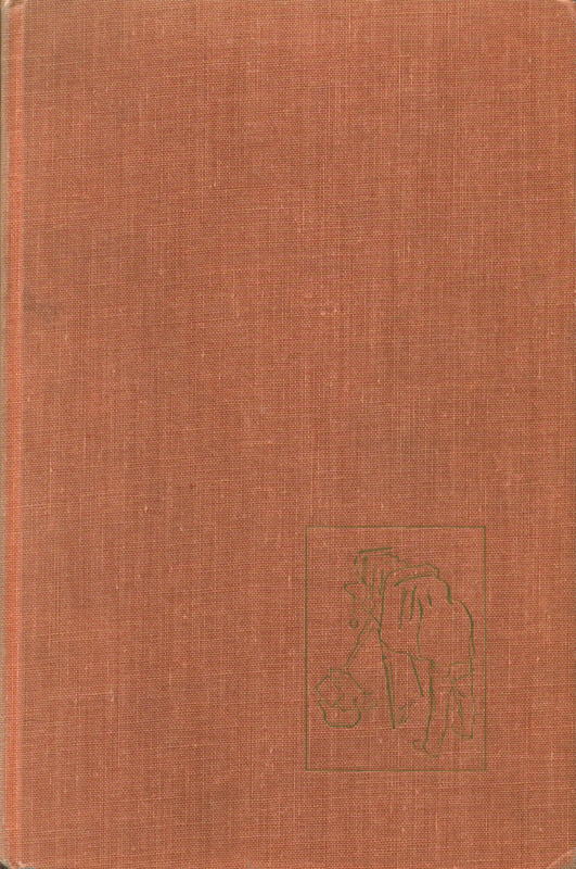 Frontier photographer : Stanley J. Morrow's Dakota years / Wesley R. Hurt and William E. Lass cover