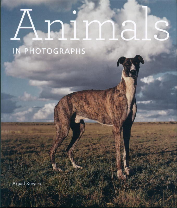 Animals in photographs / Arpad Kovacs cover