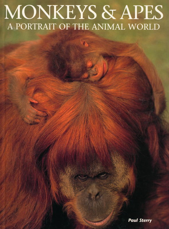 Monkeys & apes : a portrait of the animal world / Paul Sterry cover