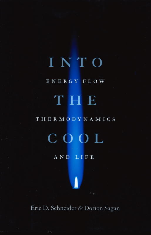 Into the cool : energy flow, thermodynamics and life cover