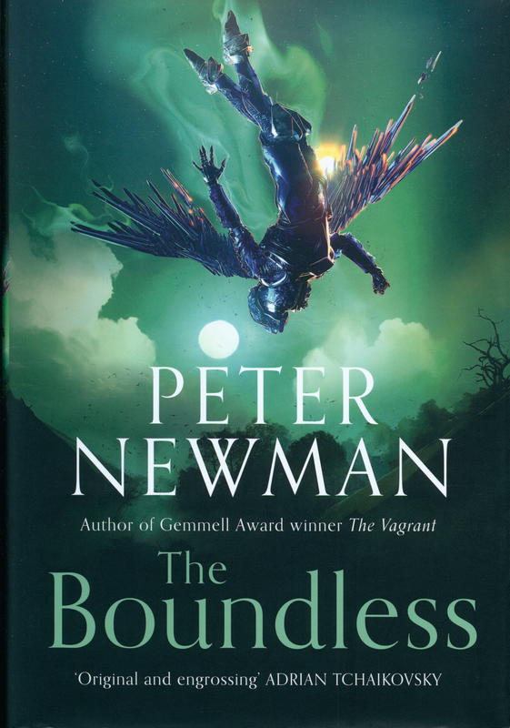 The boundless / Peter Newman cover