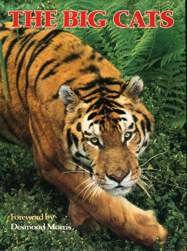 The Big Cats / from the text of Guidoe Badino ; with a foreword of Dr Desmond Morris cover