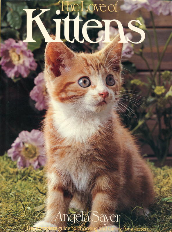 The love of kittens / Angela Sayer cover
