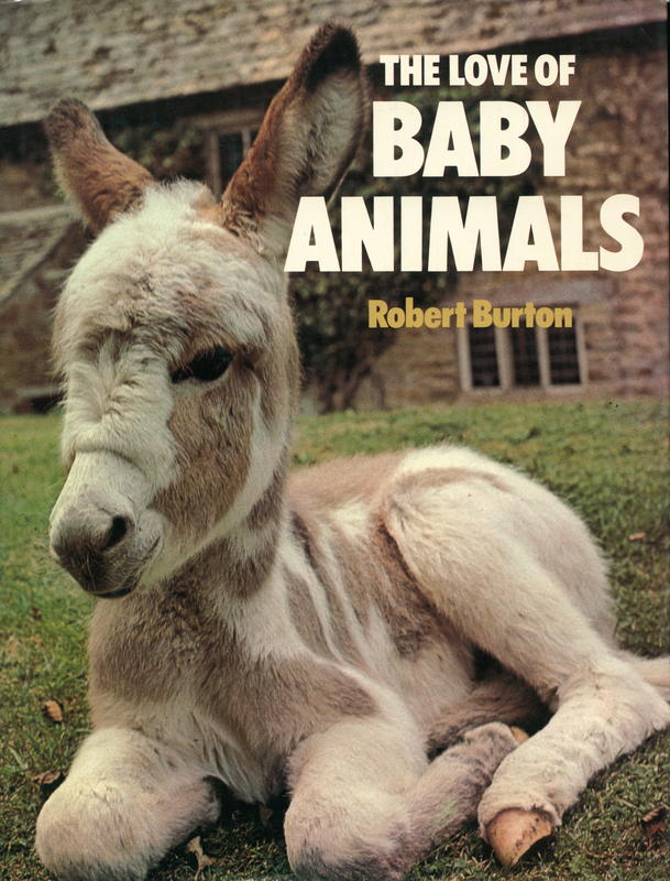 The love of baby animals / Robert Burton cover