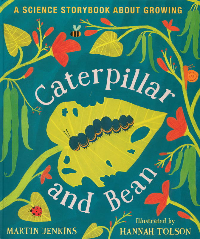 Caterpillar and Bean : a first science storybook / Martin Jenkins ; illustrated by Hannah Tolson cover