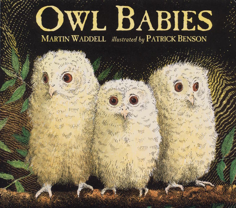 Owl babies / Martin Waddell ; illustrated by Patrick Benson cover