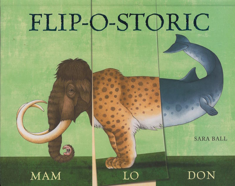 Flip-o-storic / Sara Ball cover