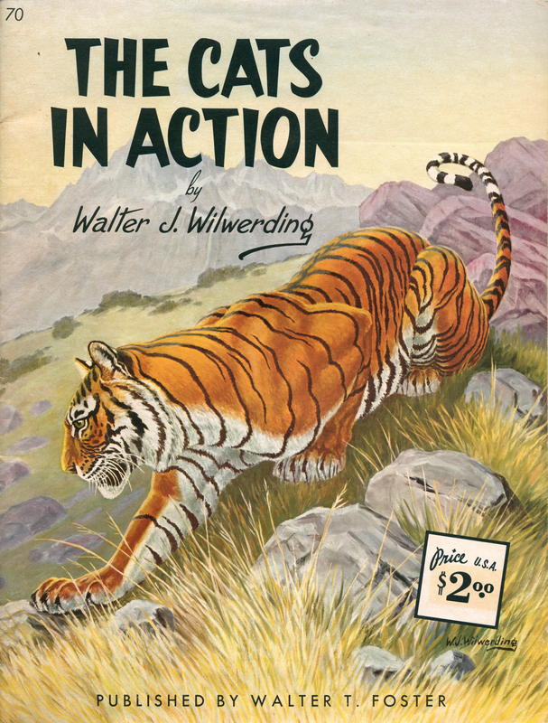 The cats in action / by Walter J. Wilwerding cover