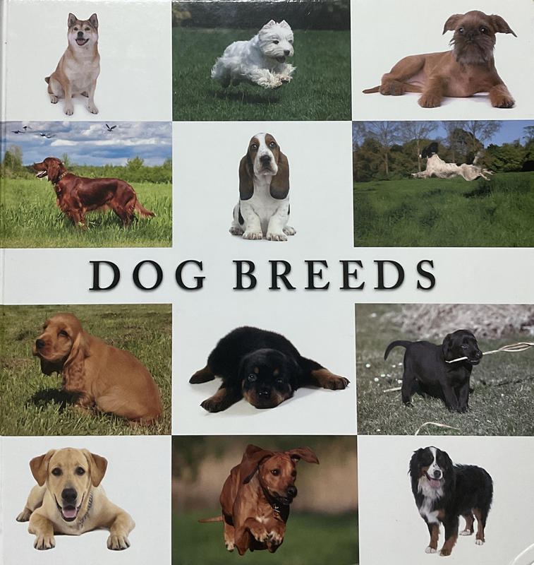 Dog breeds / Margaret Keenan cover