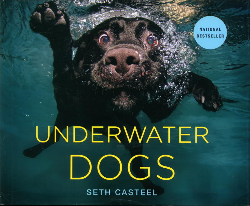Underwater dogs cover