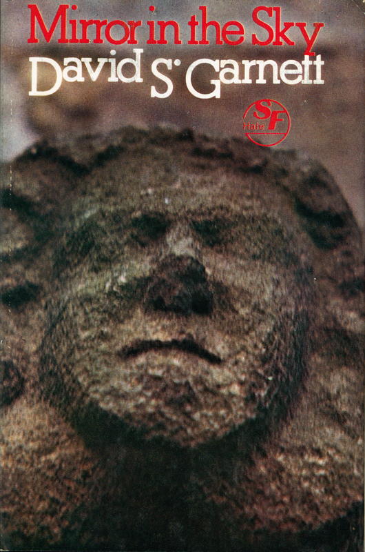 Mirror in the sky / David S. Garnett cover