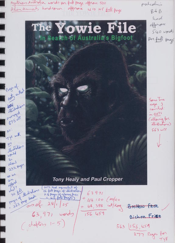 The yowie file : in search of Australia's bigfoot / Tony Healy and Paul Cropper cover