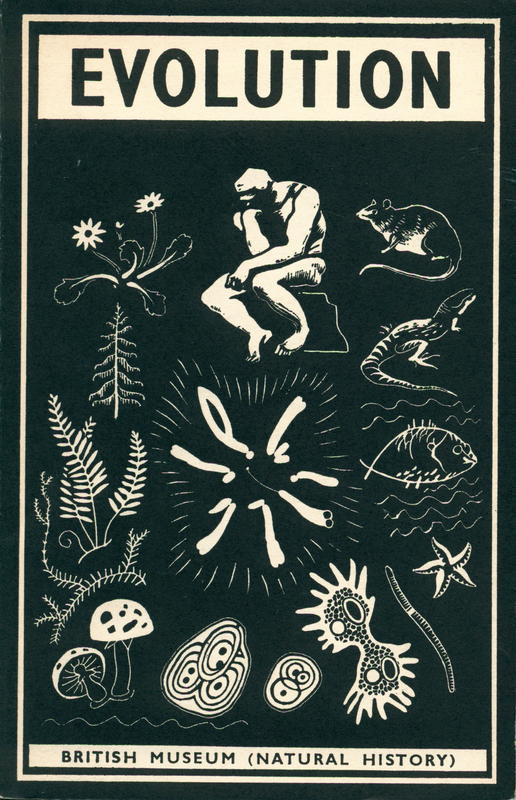 Evolution : a handbook on evolution ; second enlarged edition / British Museum Press cover