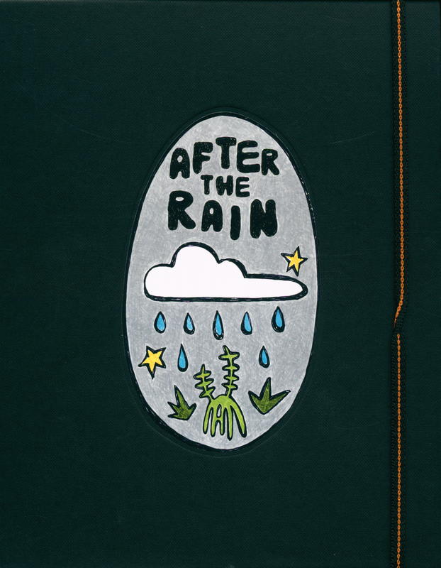 After the rain : 5th National Indigenous Art Triennial cover