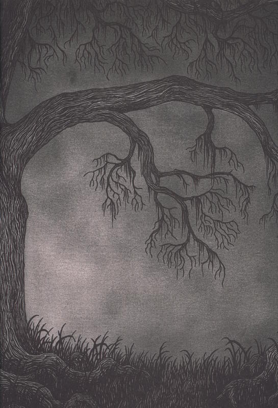 Masters of the weird tale : Robert Aickman, volume two / editing and introduction by S. T. Joshi ; with a recollection by T. E. D. Klein ; illustrations by John Kenn Mortensen cover