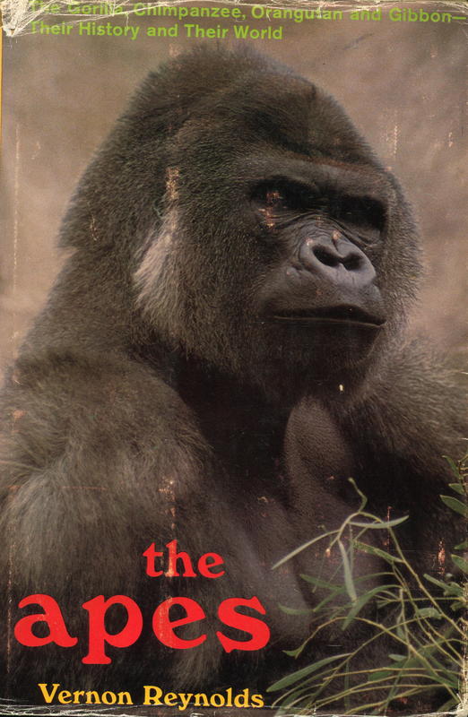 The apes : the gorilla, chimpanzee, orangutan, and gibbon : their history and their world / Vernon Reynolds cover