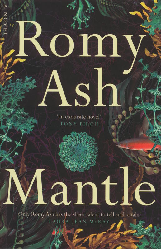 Mantle : a novel cover