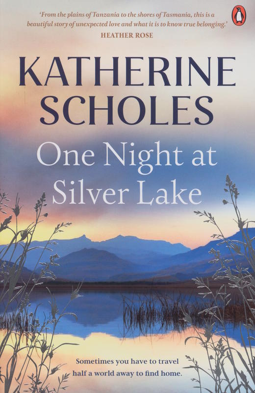 One night at Silver Lake cover