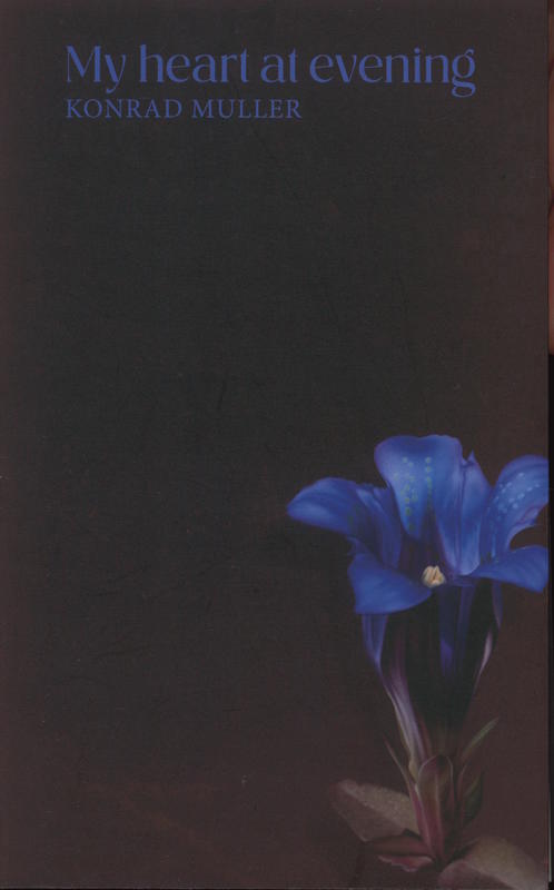 My heart at evening cover