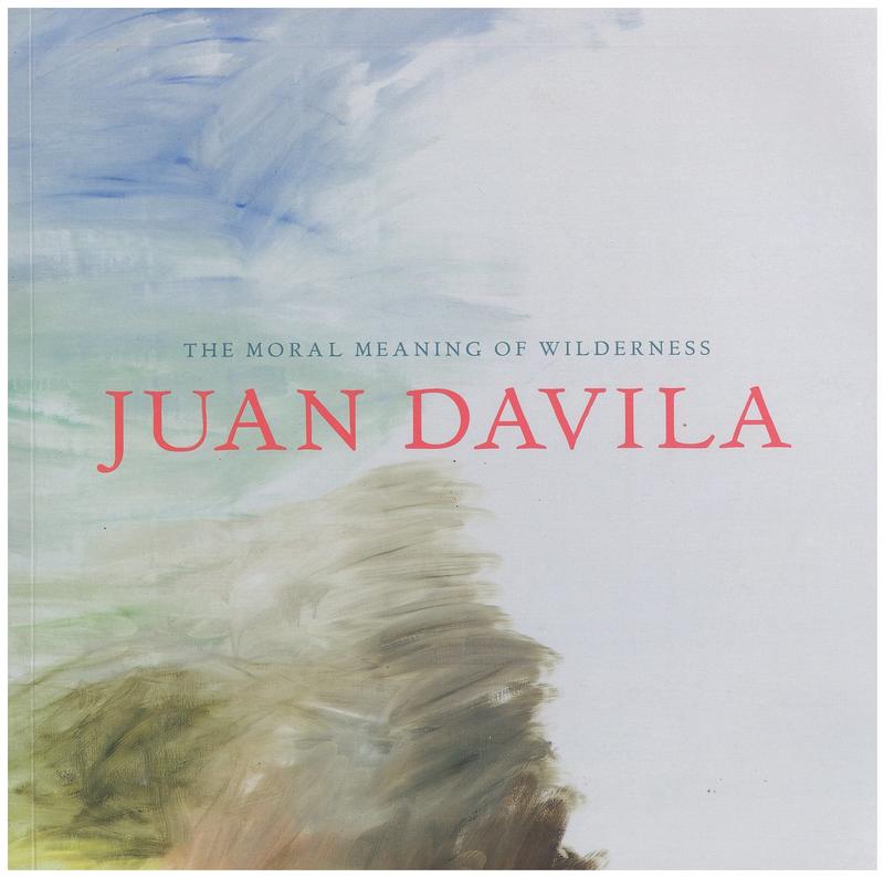 Juan Davila : the moral meaning of wilderness / [with essay and interview by Kate Briggs] cover