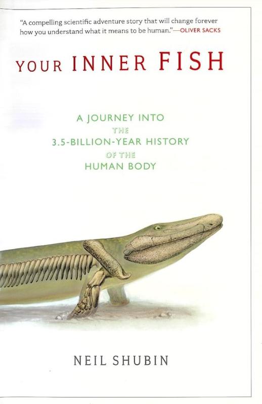 Your inner fish : a journey into the 3.5 billion year history of the human body cover