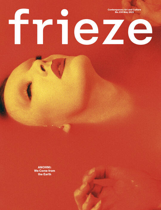 Frieze cover