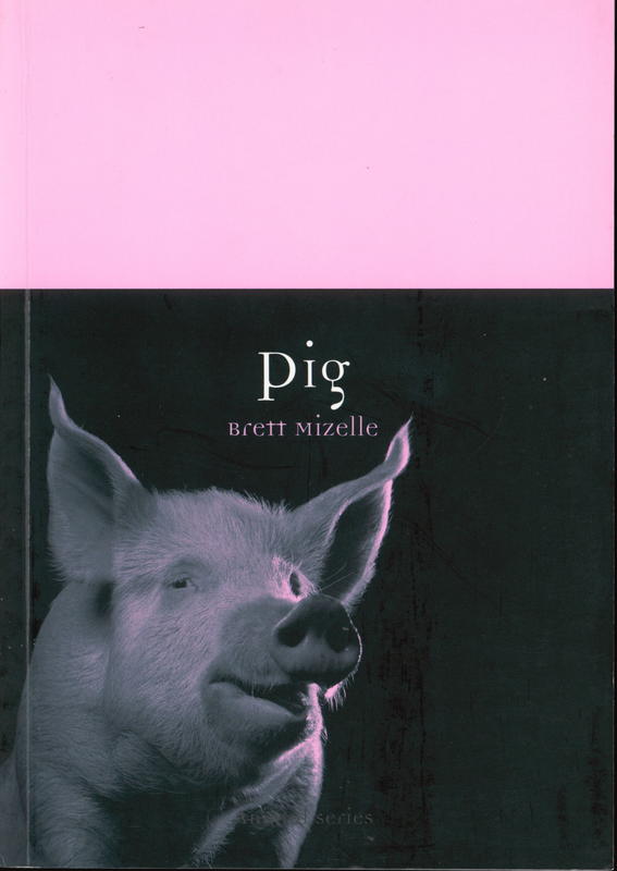 Pig cover