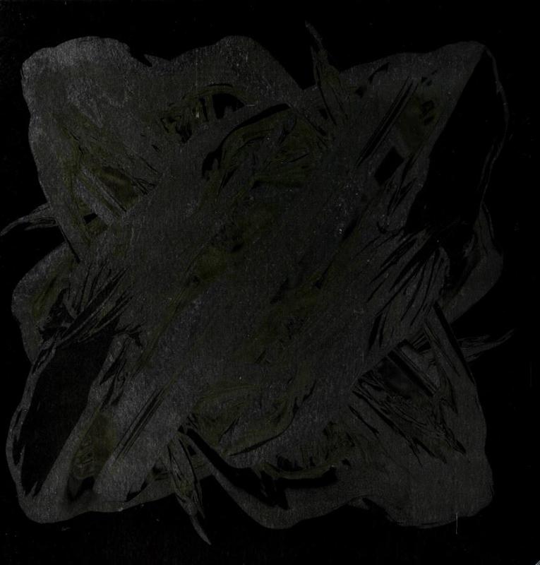 Wim Delvoye / [foreword by David Walsh ; essay by Bernard Marcade] cover