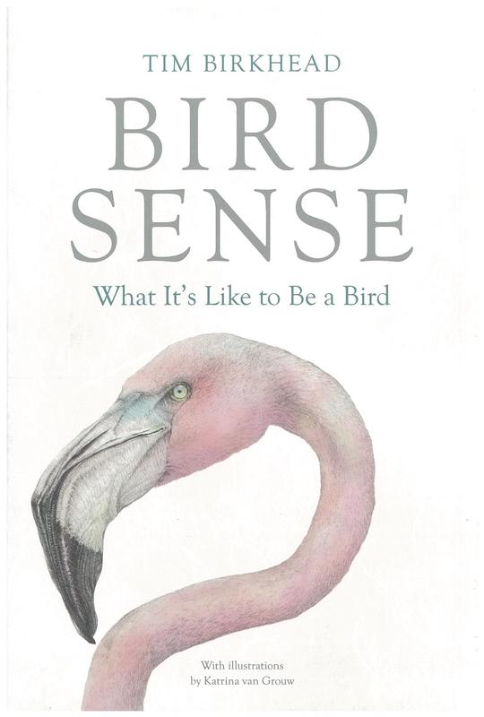 Bird sense : what it's like to be a bird cover