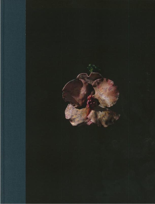 Mat Collishaw / [edited by Jessica Watts and Eloise Maxwell] cover