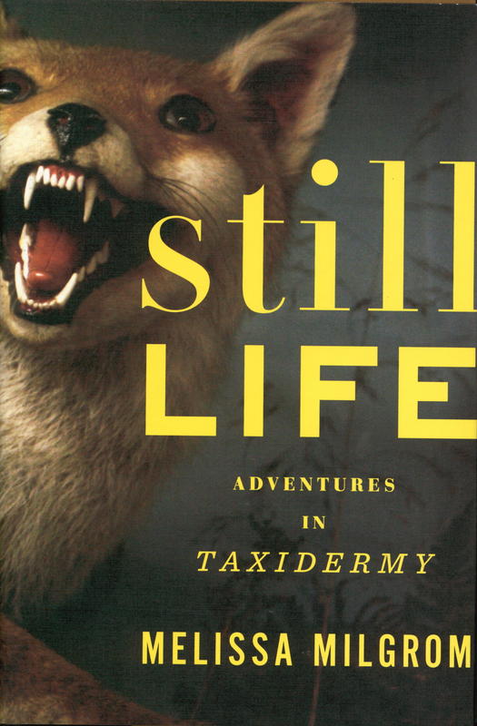 Still life : adventures in taxidermy cover