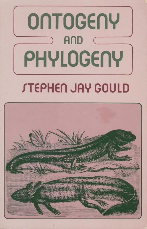 Ontogeny and phylogeny / Stephen Jay Gould cover