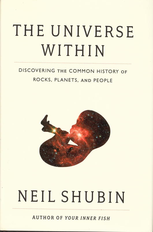 The universe within : discovering the common history of rocks, planets and people cover