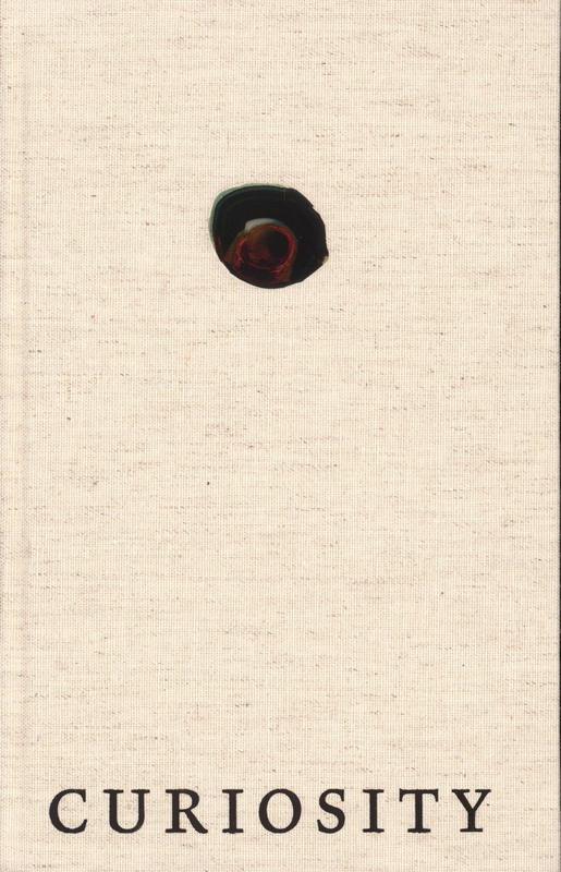 Curiosity : art and the pleasures of knowing cover