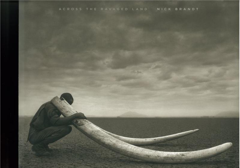 Across the ravaged land / Nick Brandt cover