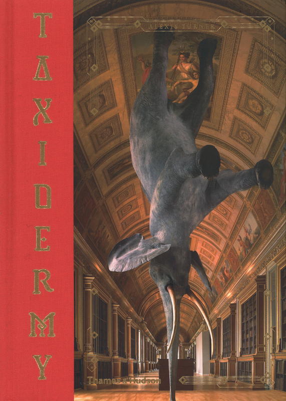 Taxidermy cover