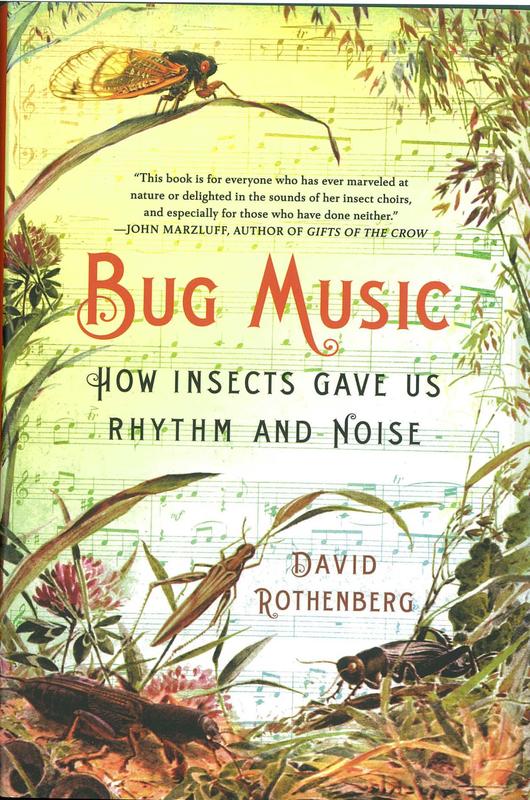 Bug music : how insects gave us rhythm and noise / David Rothenberg cover