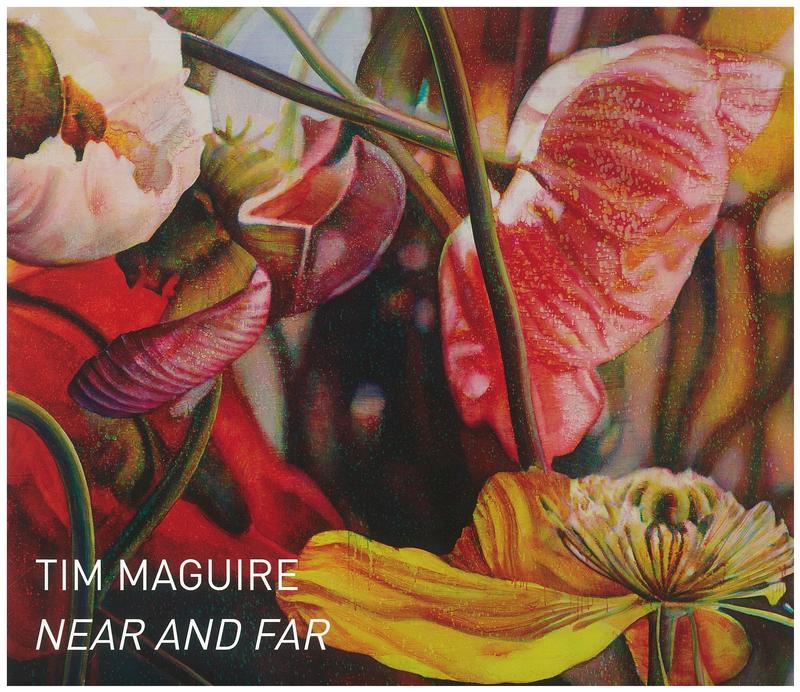 Tim Maguire : near and far cover