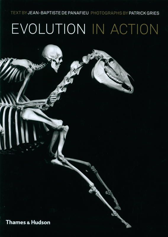 Evolution in action : natural history through spectacular skeletons / Jean-Baptiste de Panafieu cover