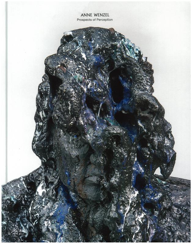 Anne Wenzel : prospects of perception cover