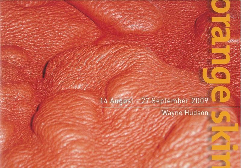 Orange skin 14 August - 27 September 2009/ Wayne Hudson cover