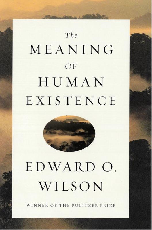The meaning of human existence cover