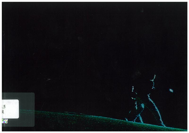 Military vision cover