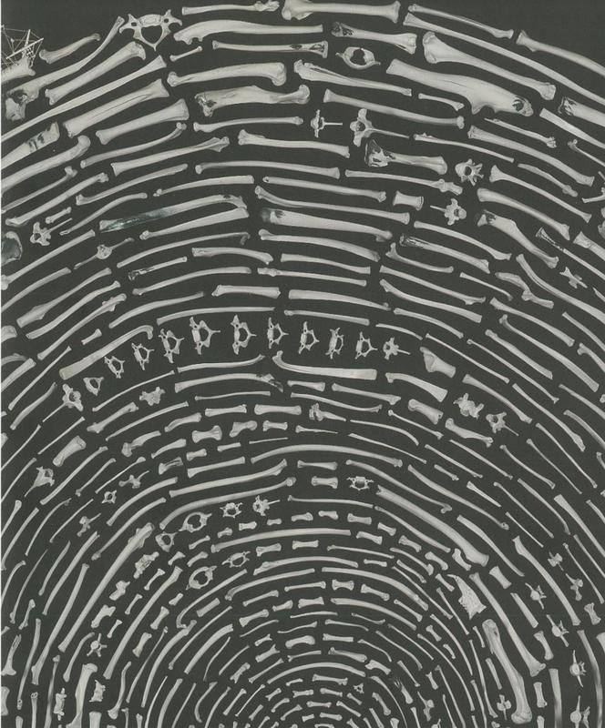 Things I once knew : the art of Patrick Hall / Peter Hughes, David Walsh ; Simon Cuthbert,  Peter Whyte, Diane Allison cover