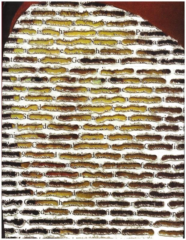 Doug Beube : breaking the codex : bookwork, collage and mixed media cover